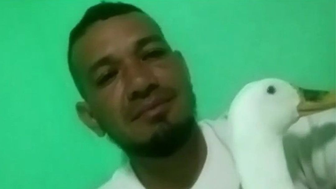 Amistad sin fronteras: Migrante venezolano emprende regreso a casa con su fiel acompañante, la pata Filomena | ViX