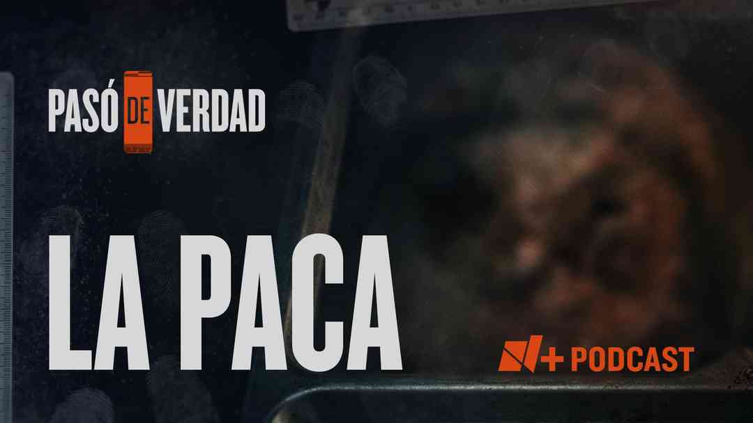 La Paca: La bruja que engañó a México | ViX