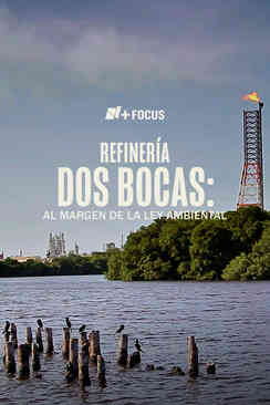 Refinería Dos Bocas: Al margen de la ley ambiental