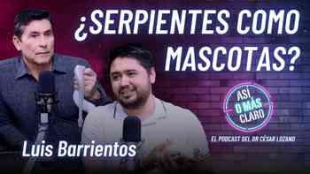 ¿Una serpiente puede ser mascota?: Mitos, cuidados y ecología con el criador Luis Barrientos