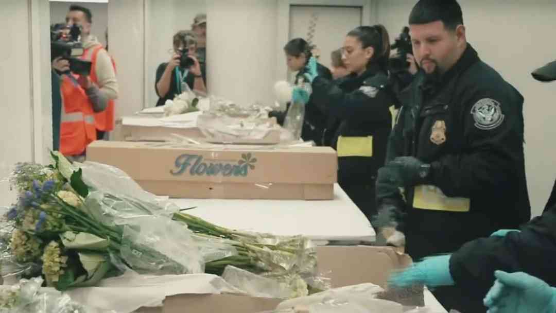 Florido San Valentín: La gigantesca operación para importar 900 millones de flores a EEUU | ViX