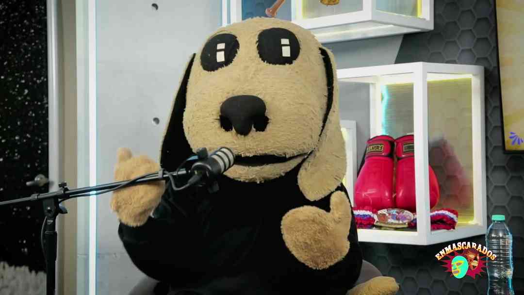 Wisin el Dog: El perrito luchador que revolucionó la lucha libre y viralizó sus vuelos | ViX