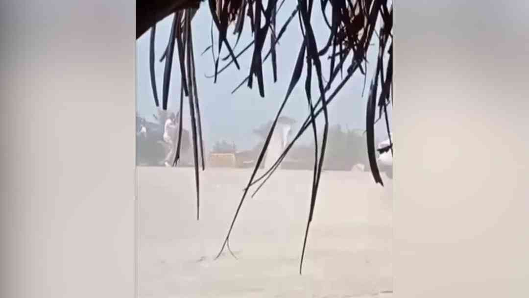 VIDEO: Momento en que 'El Mencho', conocido líder criminal, habría sido abatido en México | ViX