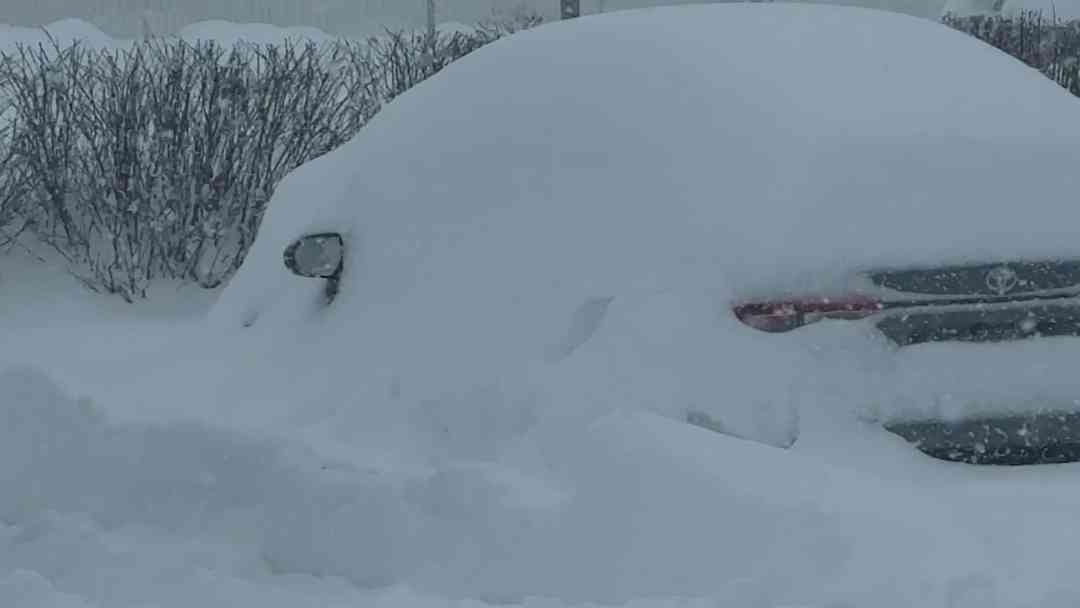 Tormenta invernal azota EEUU y provoca cancelaciones masivas de vuelos | ViX
