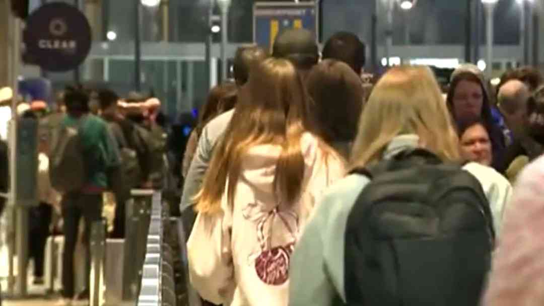 ¿Qué hacer para evitar retrasos en los aeropuertos? Ante renuncia de agentes de la TSA y colapso del sistema | ViX