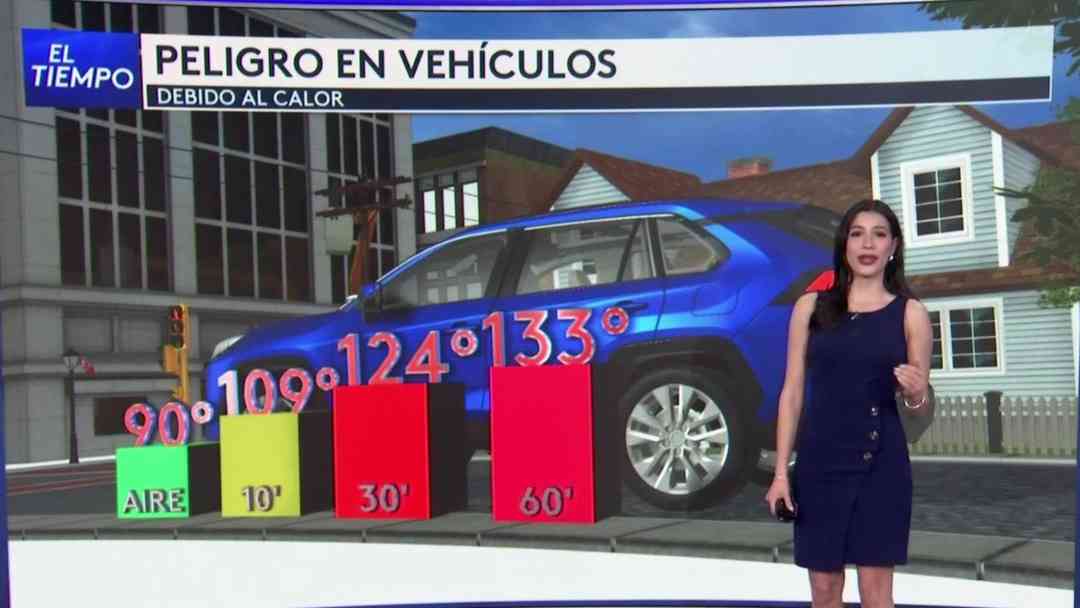 Ola de calor en EEUU: Cuidado, tu carro puede superar los 100º F en tan solo minutos | ViX