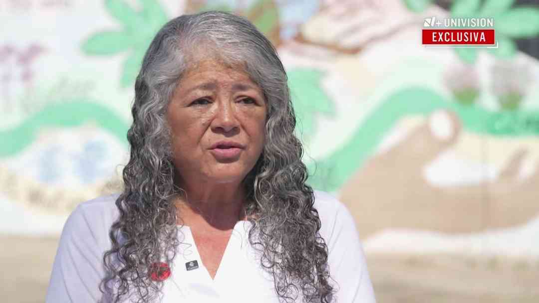 Exclusiva | "Esa noticia fue una sorpresa": Presidenta del Sindicato UFW reacciona a acusaciones contra César Chávez | ViX