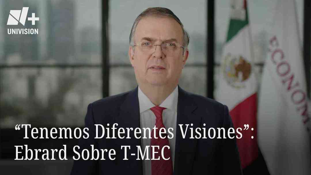 "Tenemos Diferentes Visiones": Ebrard Sobre T-MEC | ViX