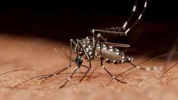 Emiten alerta de dengue para viajeros ¿Cuáles países tienen repunte de contagios?