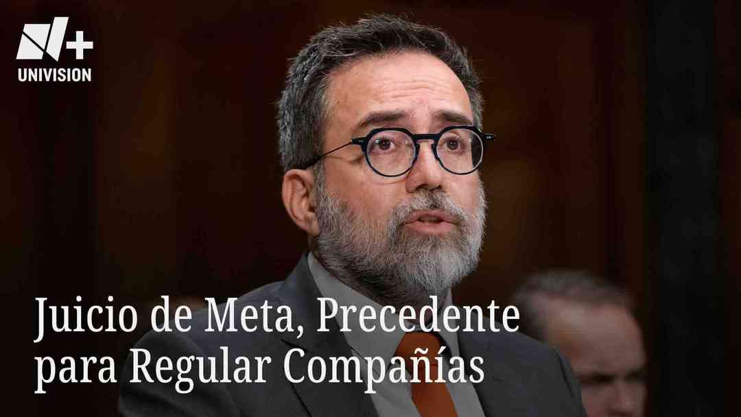Juicio de Meta, Precedente para Regular Compañías | ViX