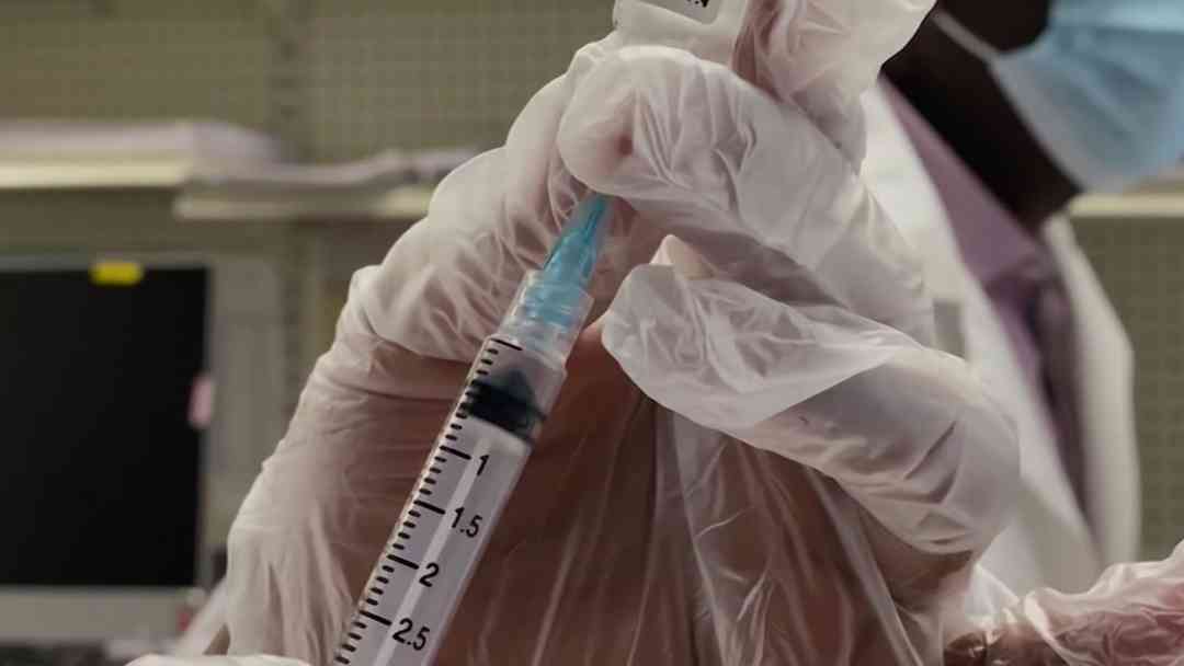 Pfizer busca aprobación de vacuna contra enfermedad de Lyme en Estados Unidos | ViX