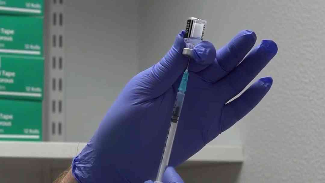 Cigarra, la variante del COVID-19 llega a 23 países, la OMS vigila consecuencias | ViX