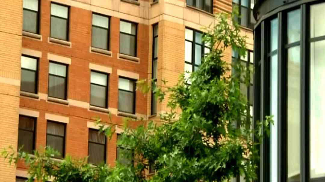 Nuevas reglas de inmigración | Proponen que indocumentados no habiten viviendas públicas | ViX