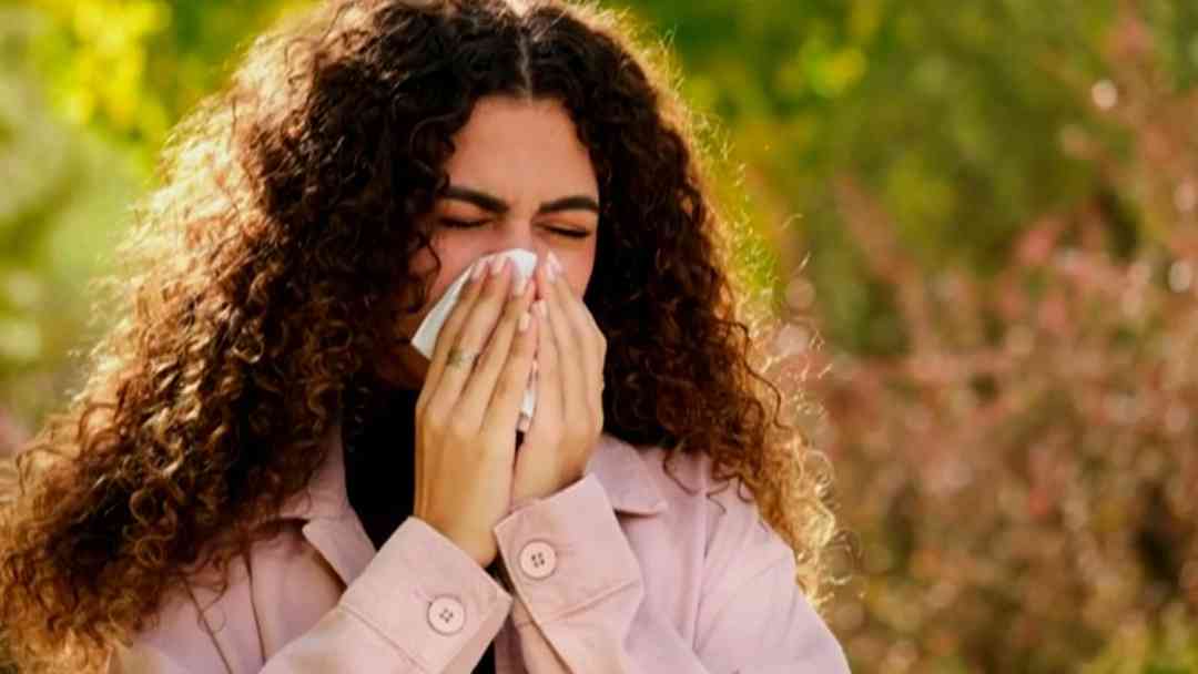 ¿Resfriado o alergia? Expertos explican cómo identificar los síntomas de alergia esta primavera | ViX