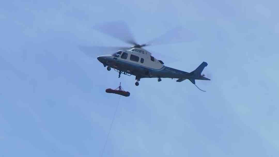 Senderista en Arizona queda grave tras ataque de más de 100 abejas | ViX