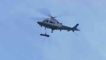 Senderista en Arizona queda grave tras ataque de más de 100 abejas