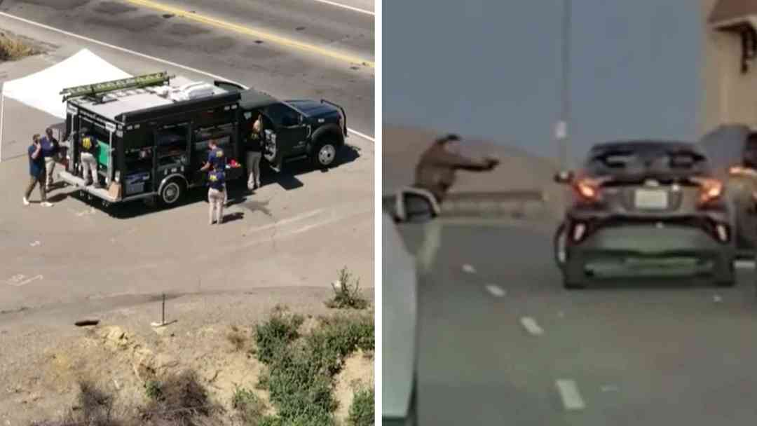 Agentes de ICE balean a inmigrante en California y en LA policías abaten a hombre en carretera | ViX