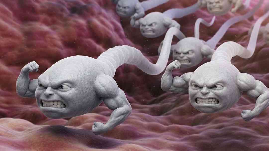 ¿Cómo puedo generar más espermatozoides? Conoce los mejores hábitos y suplementos | ViX