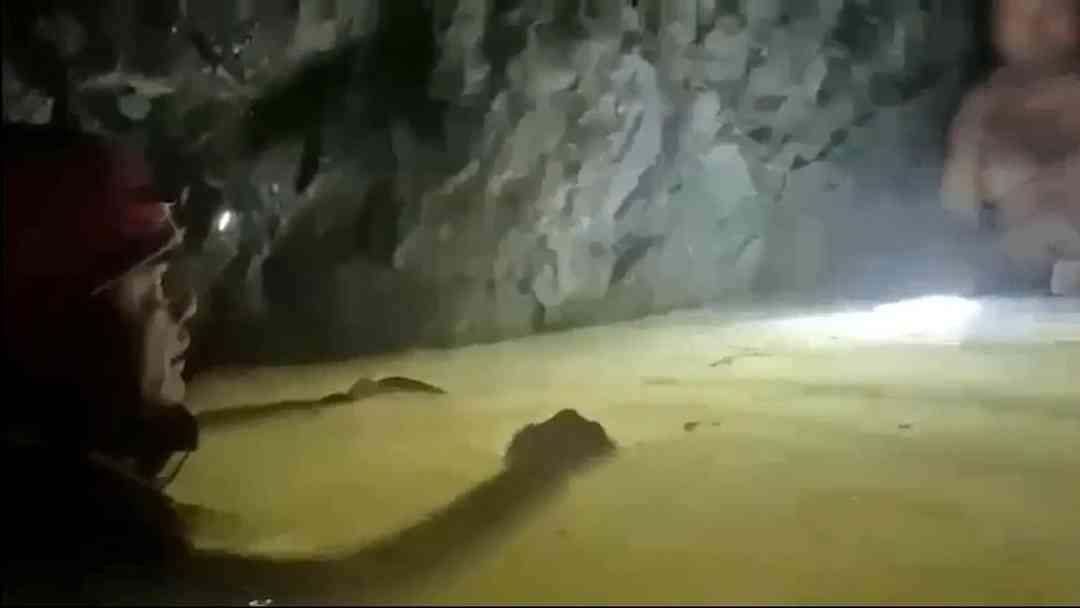 Video de un milagroso rescate: Así hallaron a un minero atrapado en México a casi 1,000 pies de profundidad | ViX