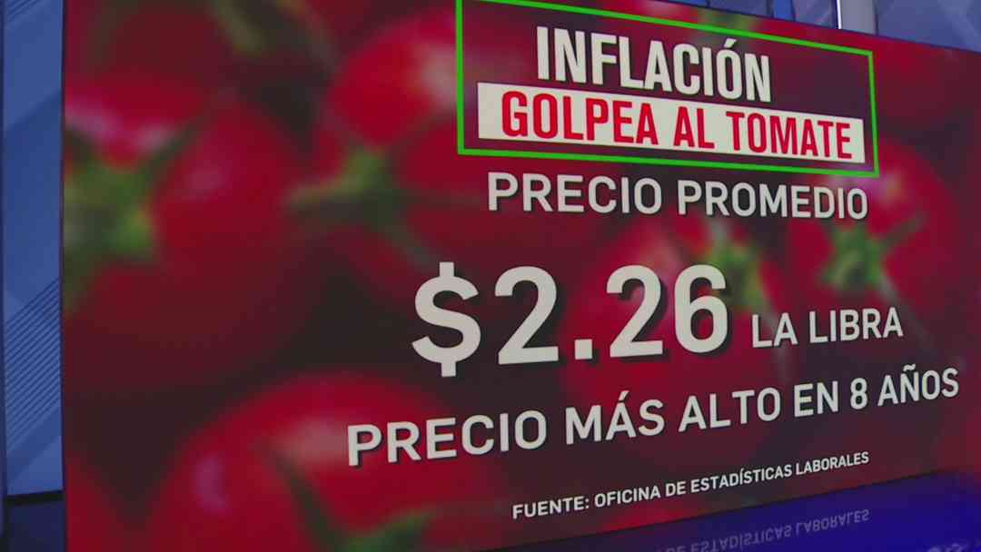Aranceles a México y la gasolina: Los culpables detrás del alza del precio del tomate | ViX