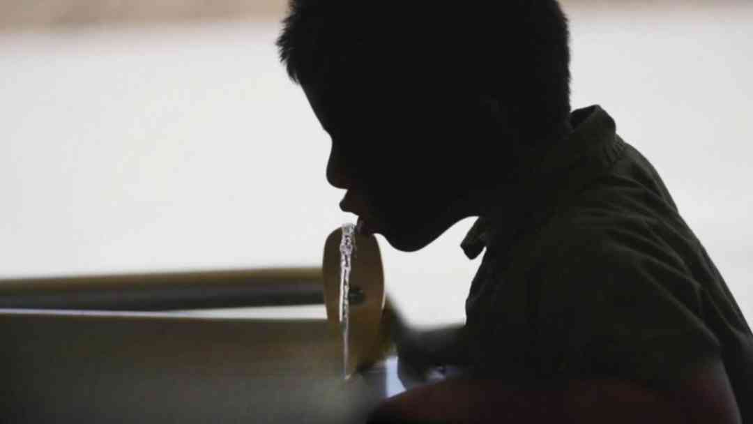 Estudio revela que fluoruro no daña el coeficiente intelectual ni la función cerebral en la infancia | ViX