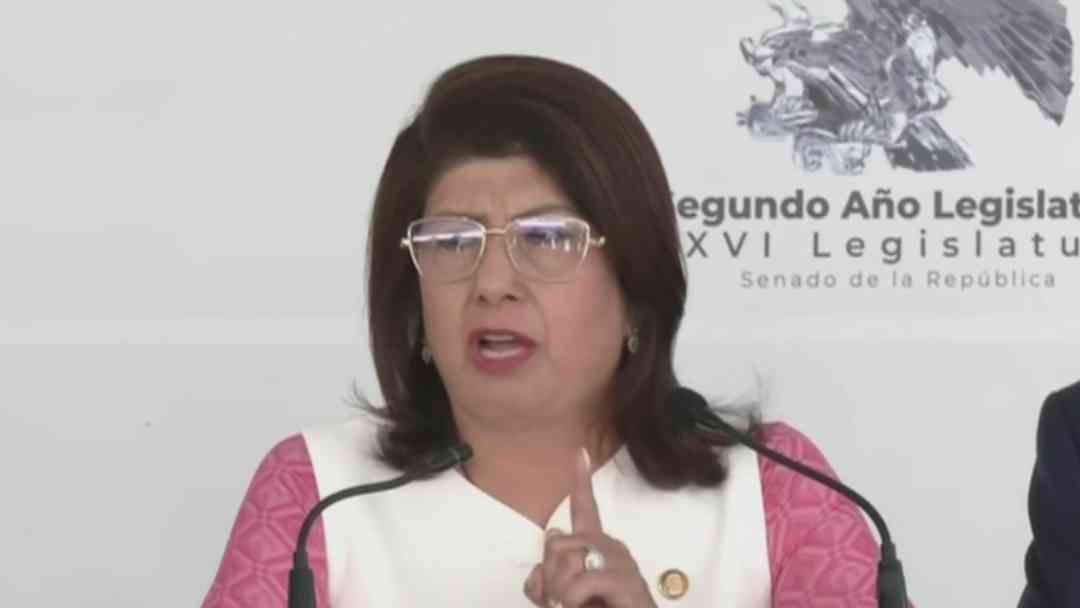Investigan a senadora mexicana por el sacrificio de 10,000 perros cuando era alcaldesa en el Edomex | ViX