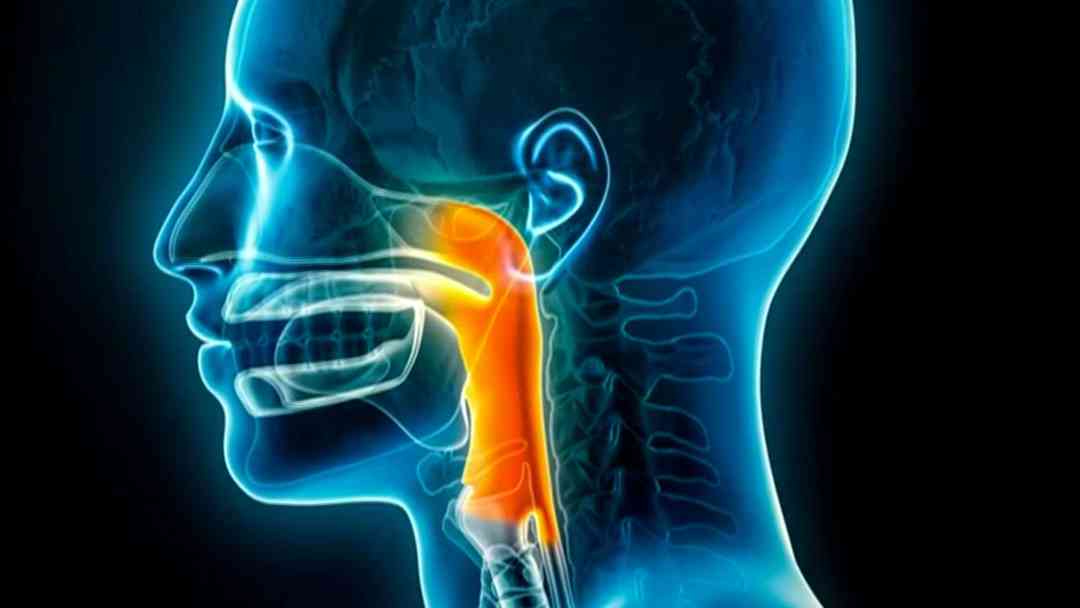 ¿Hay cirugías para el cambio de voz? ¿Cómo es el procedimiento y cuánto llega a costar? | ViX