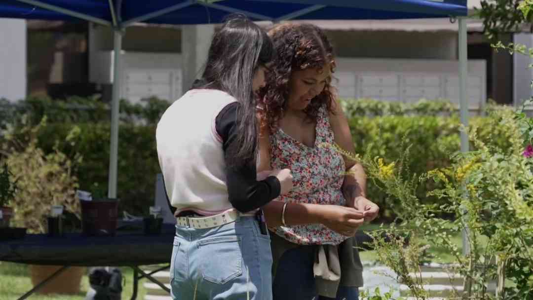 Florida busca prohibir ingreso de indocumentados a colegios estatales | ViX