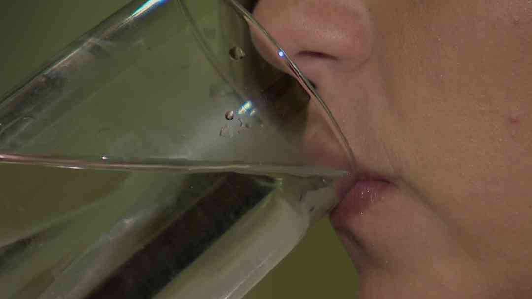 Microplásticos invaden el cuerpo humano y alertan por riesgos a la salud global | ViX