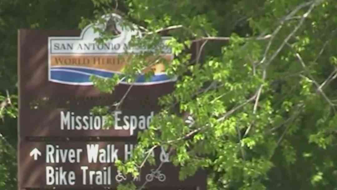 Muerde a niña de 3 años en el parque, testigos ayudaron a salvarla, pero quedó con heridas | ViX