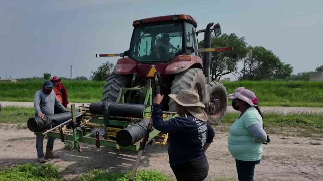 Campesinos denuncian aumento de redadas de ICE en Texas | ViX