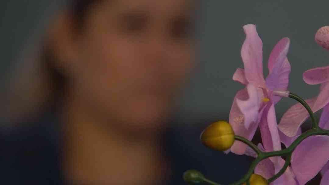 Mujer Inmigrante acumula casi 2 millones de dólares en multas migratorias | ViX