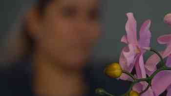 Mujer Inmigrante acumula casi 2 millones de dólares en multas migratorias