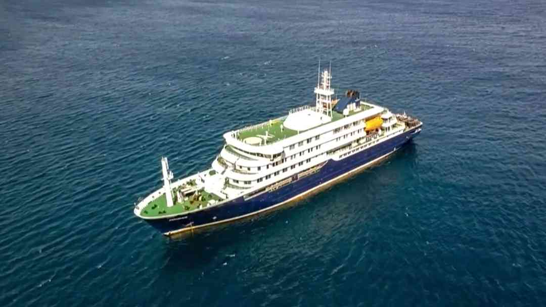 OMS confirma casos de hantavirus en crucero y prohíbe el desembarque en África; hay tres muertes | ViX