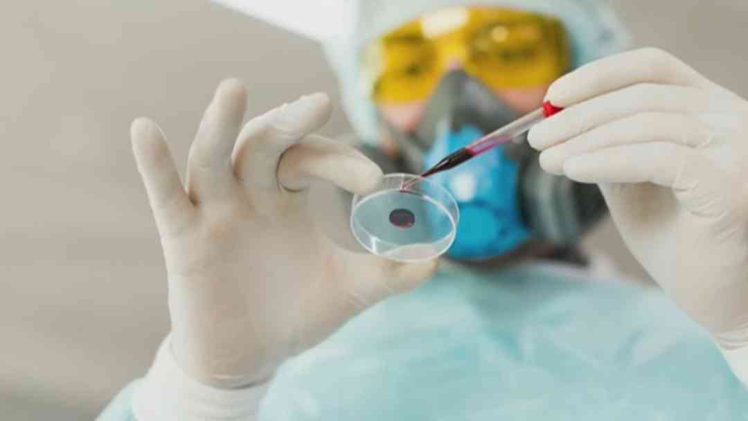 ¿Qué es el hantavirus, cuáles son los síntomas y cómo se transmite? | ViX