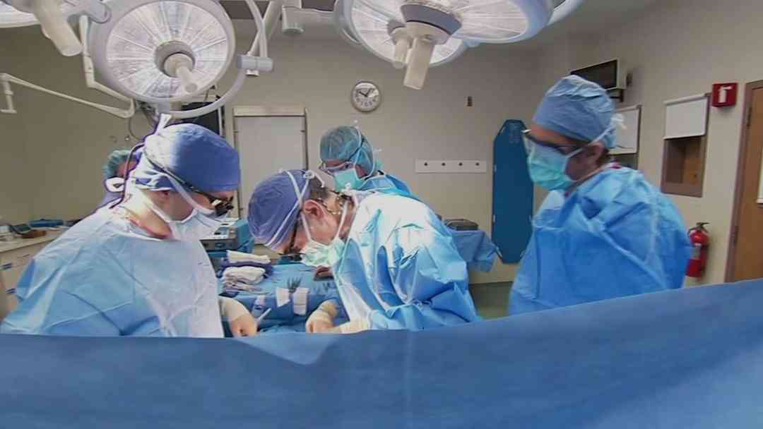 EEUU reanuda visas para médicos extranjeros de 39 países ante escasez | ViX