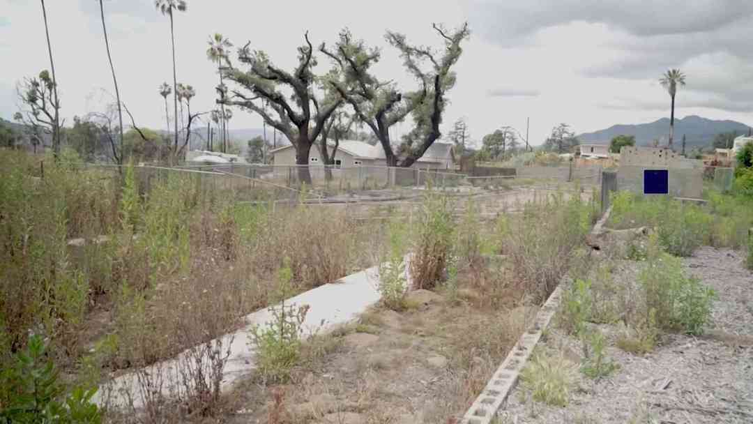 Víctimas del incendio en Altadena denuncian demoras y pagos incompletos de seguros | ViX