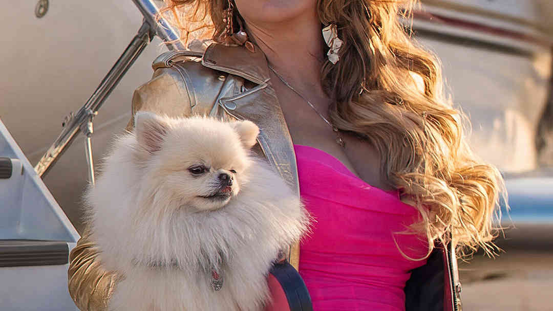 Ninel Conde sin filtro | ViX