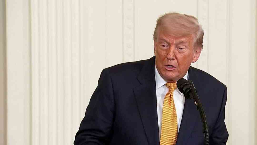 Cárteles | Trump amenaza con intervención en México “si ellos no harán el trabajo, nosotros lo haremos” | ViX