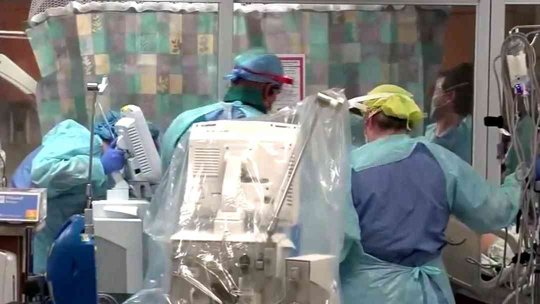 Tailandia detecta nueva cepa de coronavirus en murciélagos, esto se dice al respecto | ViX