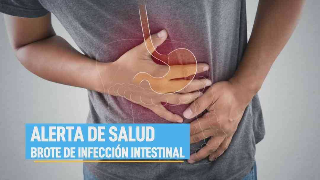 La Voz de la Mañana: 8 de julio, 2026 | ViX