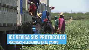 La Voz de la Mañana: 27 de julio, 2026