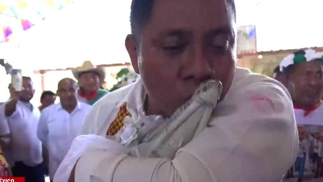 Tradición insólita: Un alcalde se casa con un caimán en México | ViX