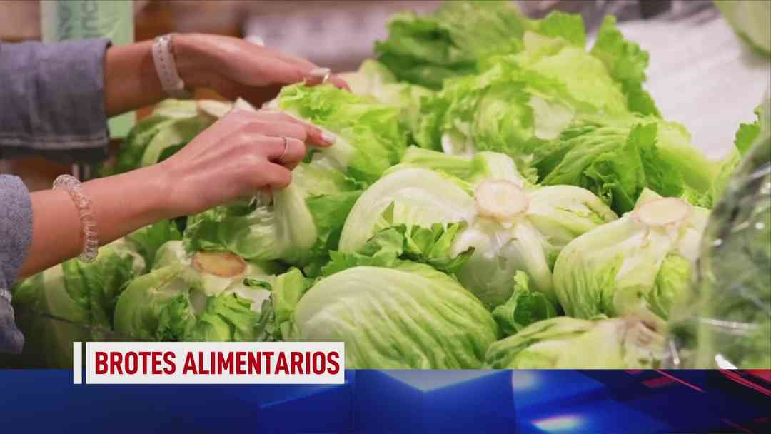 N+ Univision 24-7 Al Minuto: 6 de agosto, 2026 | ViX