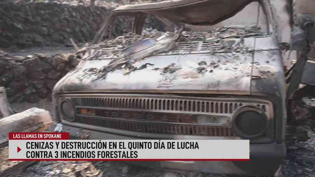 N+ Univision 24-7 Conectados: 5 de agosto, 2026 | ViX