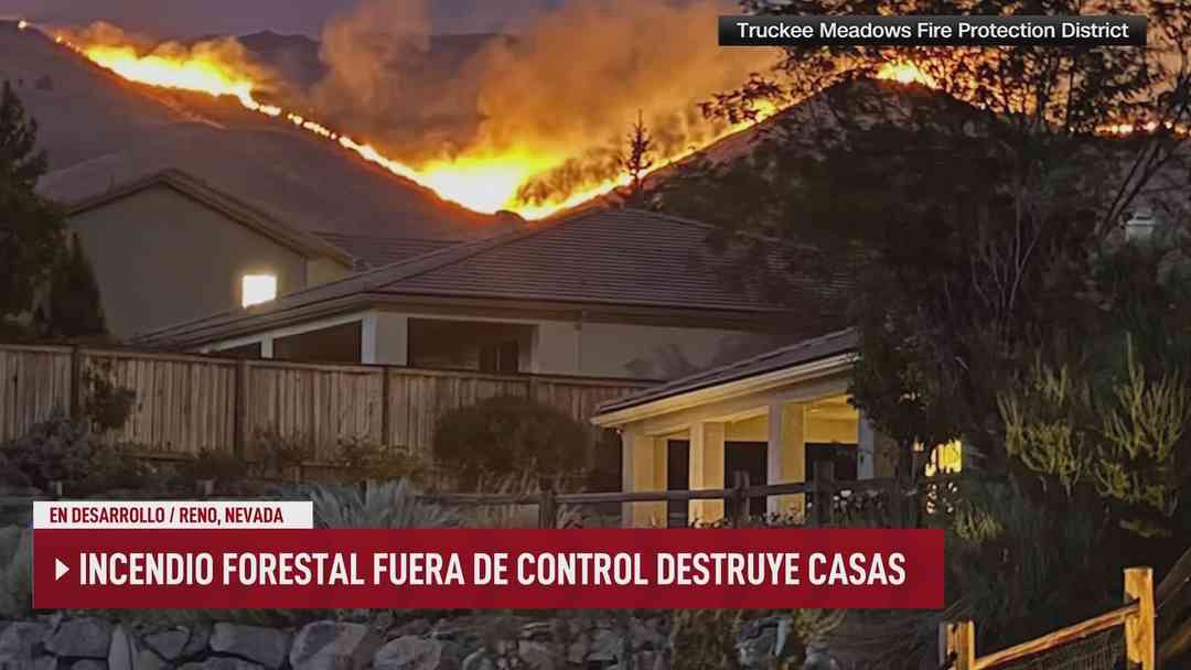 N+ Univision 24-7 Conectados: 24 de agosto, 2026 | ViX