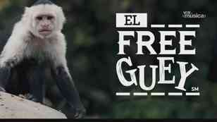 El Free-Guey: 27 de agosto, 2026