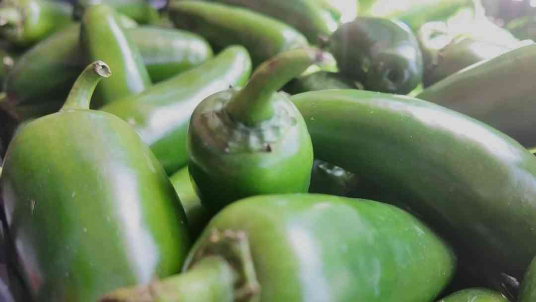 Retiran jalapeños de México por riesgo de salmonela en EEUU | ViX