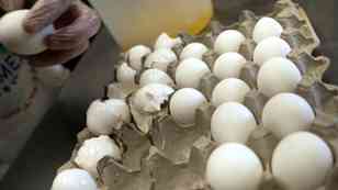 Todo lo que se sabe del retiro del mercado millones de huevos por posible contaminación con salmonela