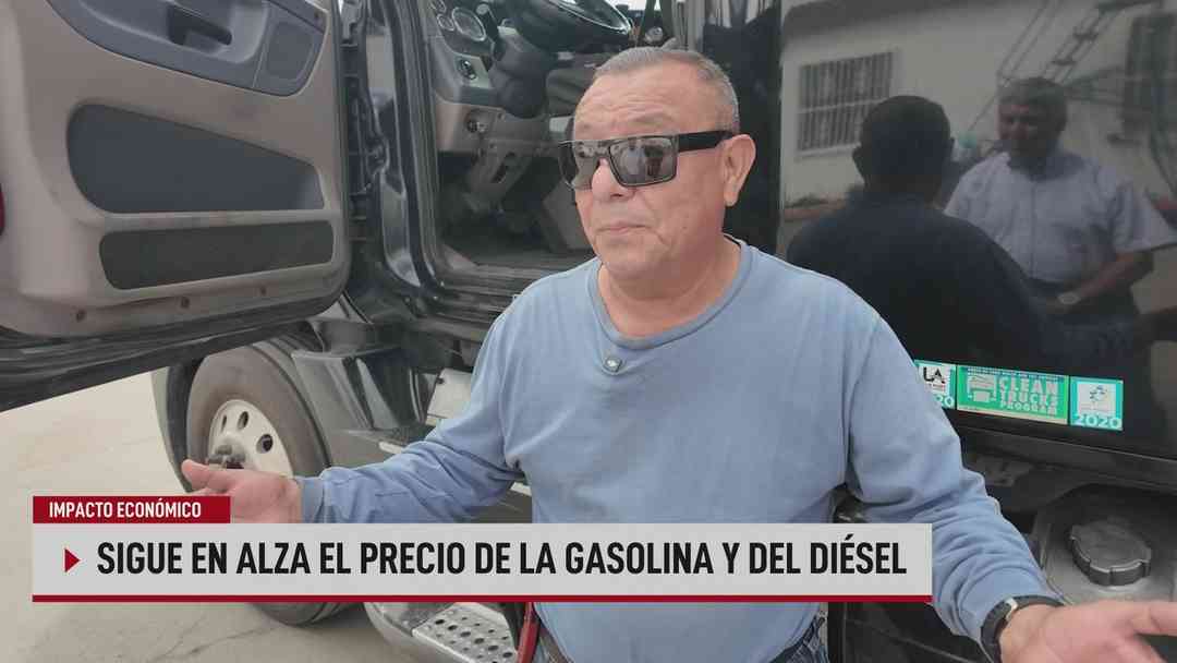 N+ Univision 24-7 Conectados: 16 de septiembre, 2026 | ViX